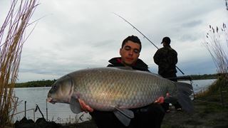 Buffalo Carp - Tancabsti